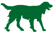 Kimberley Gundogs